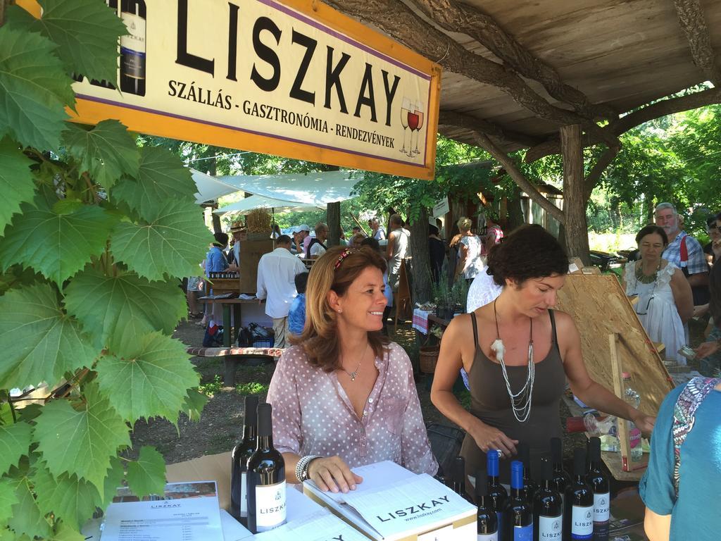 Monoszlo Liszkay Borkuria酒店 外观 照片